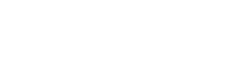 Witzy.ai